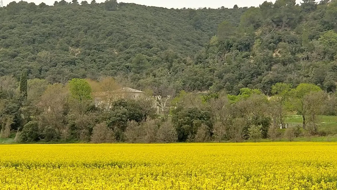 Domaine Bastide Blanche Apartment Greoux-les-Bains